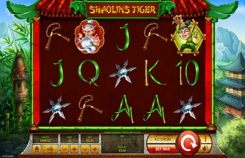 Shaolins Tiger