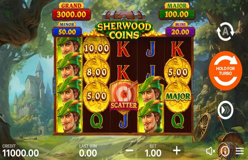 Sherwood Coins Hold and Win