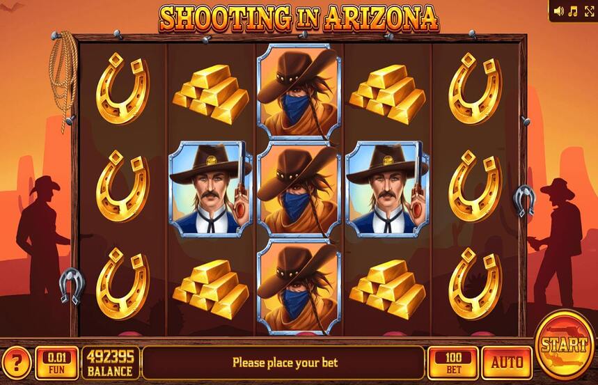 Shooting in Arizona