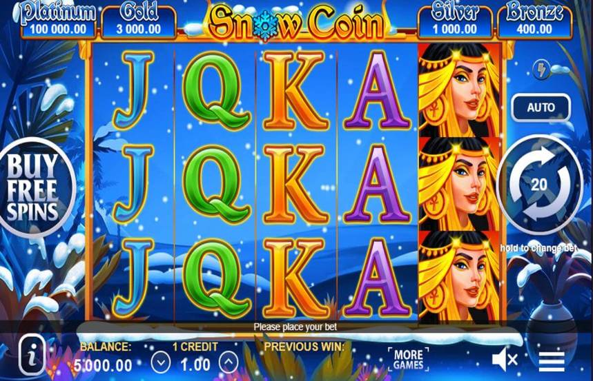 Snow Coin