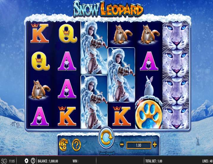 Snow Leopard