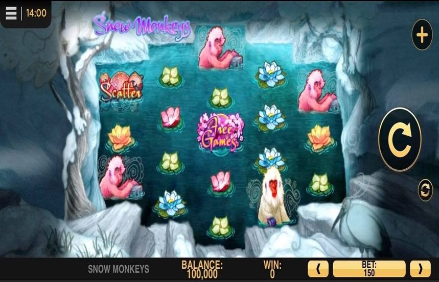 Snow Monkeys