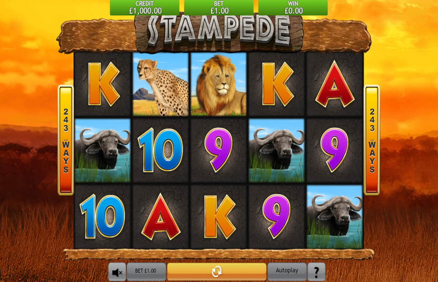 Stampede