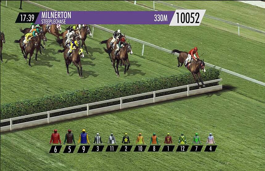 Steeple Chase