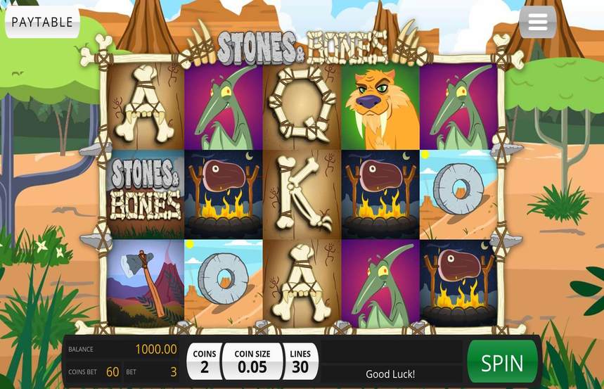 Stones and Bones