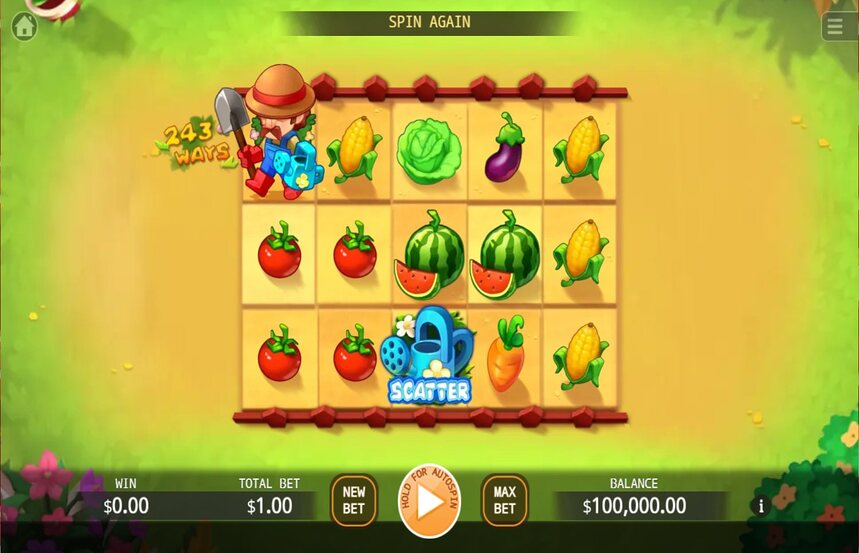 Story of Farmer