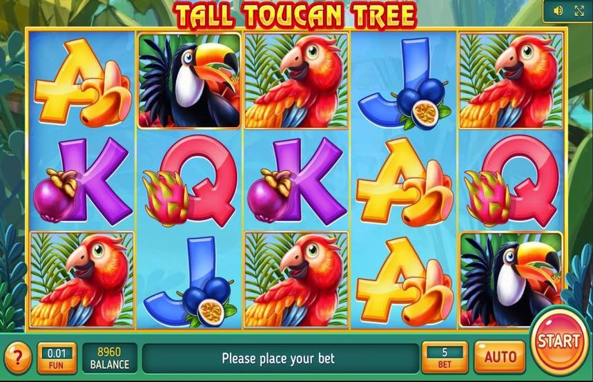 Tall Toucan Tree