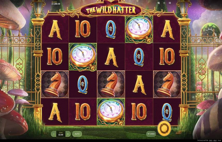 The Wild Hatter