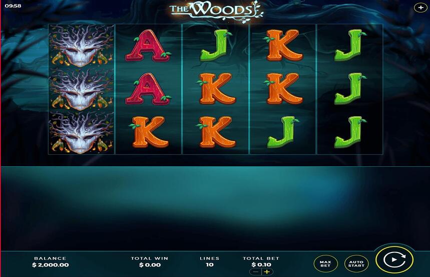 The Woods