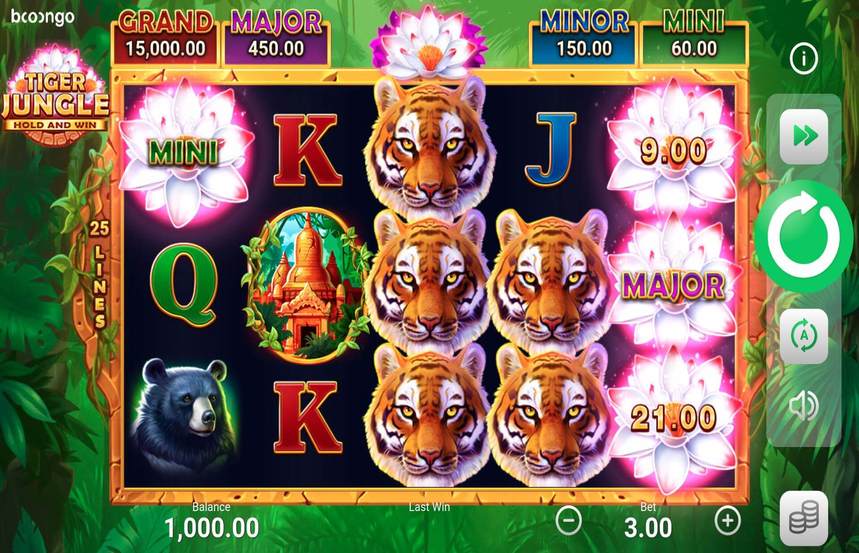 Tiger Jungle