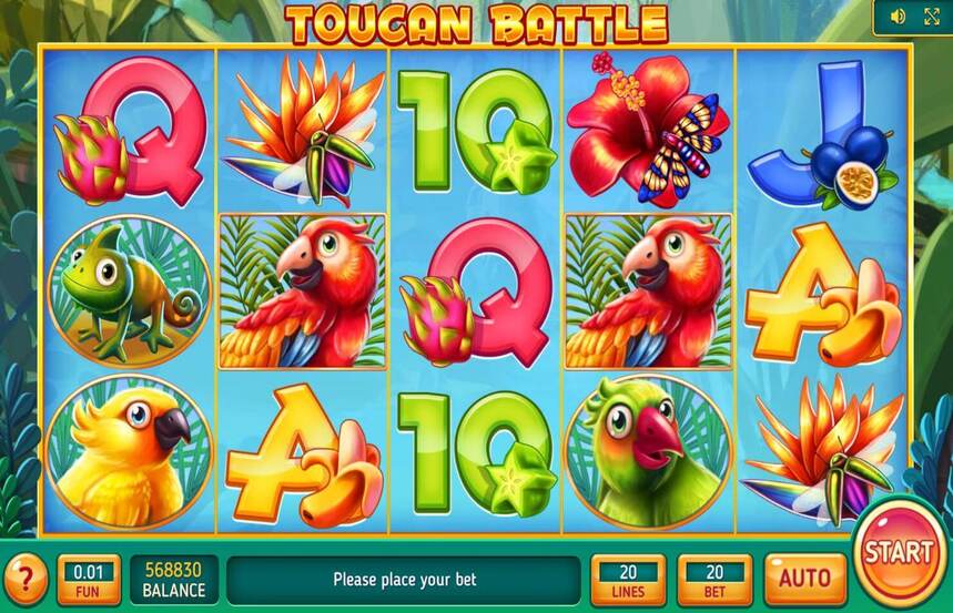 Toucan Battle