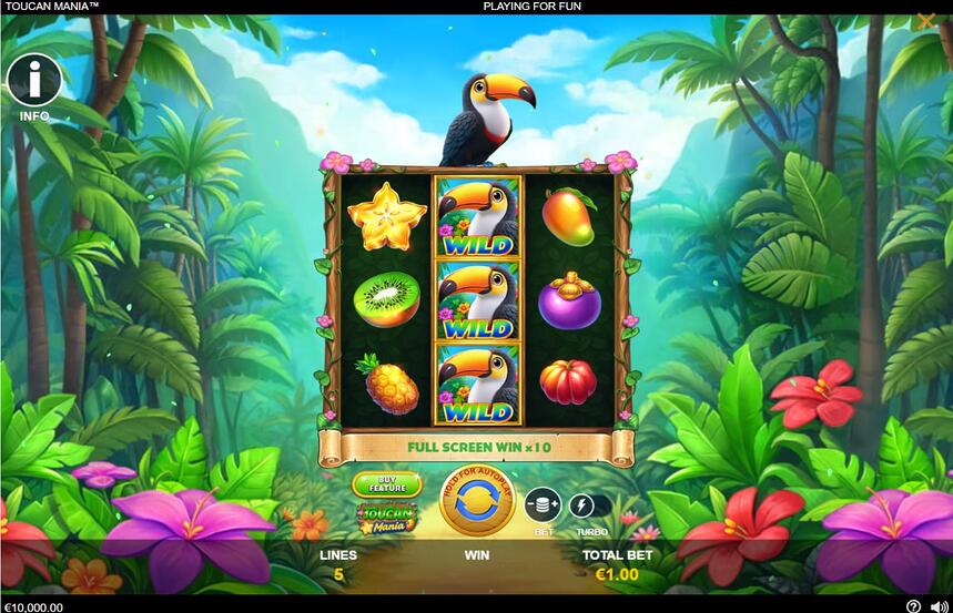 Toucan Mania