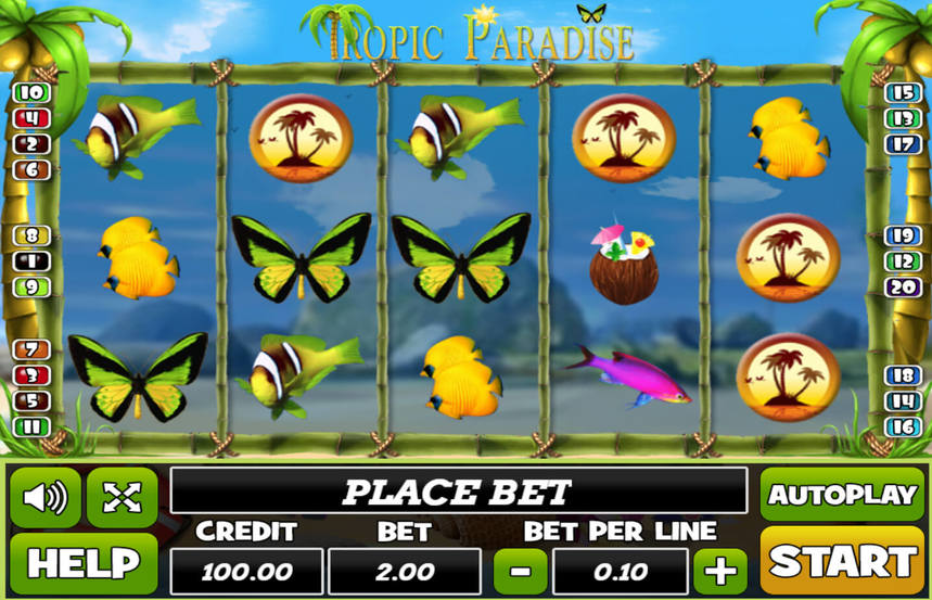 Tropic Paradise