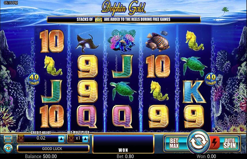 TTG Dolphin Gold