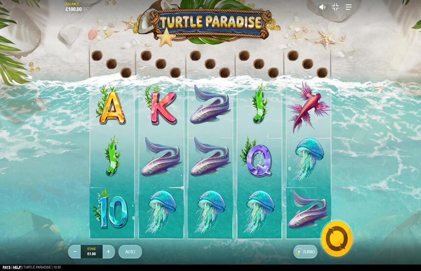 Turtle Paradise