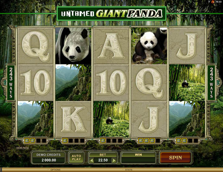 Untamed Giant Panda