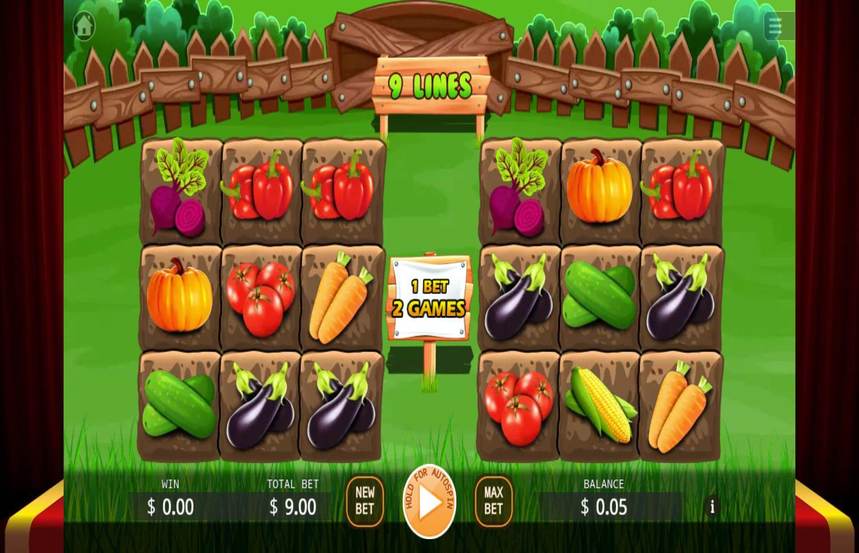 Veggies Plot