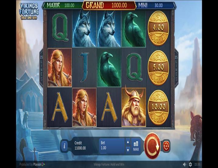 Vikings Fortune