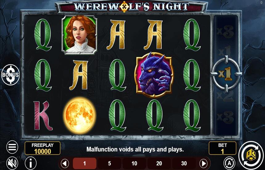 Werewolfs Night