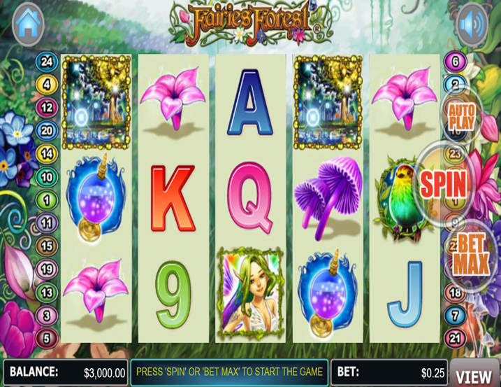 WGS Fairies Forest
