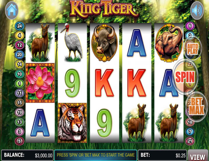 WGS King Tiger