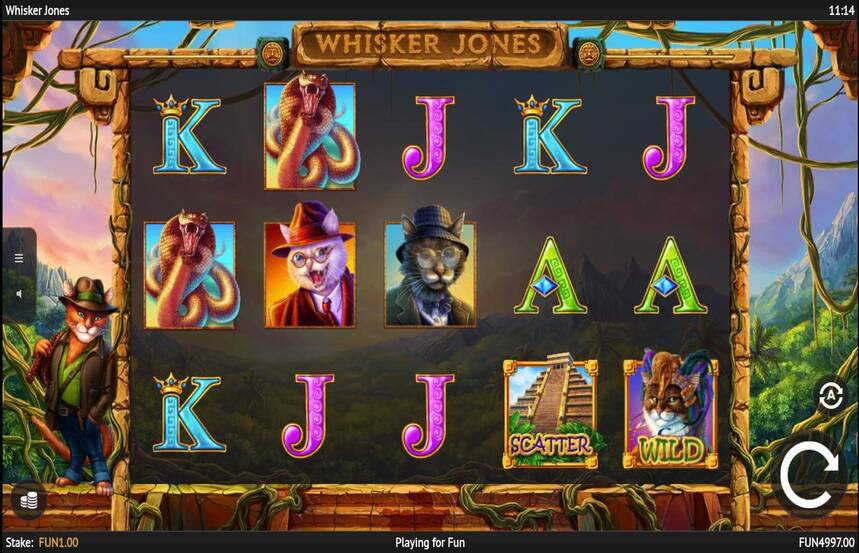 Whisker Jones
