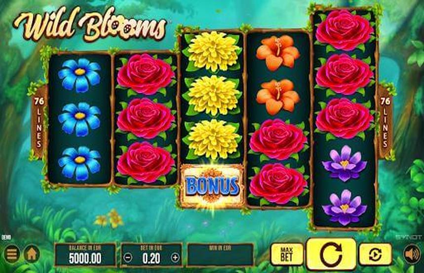 Wild Blooms