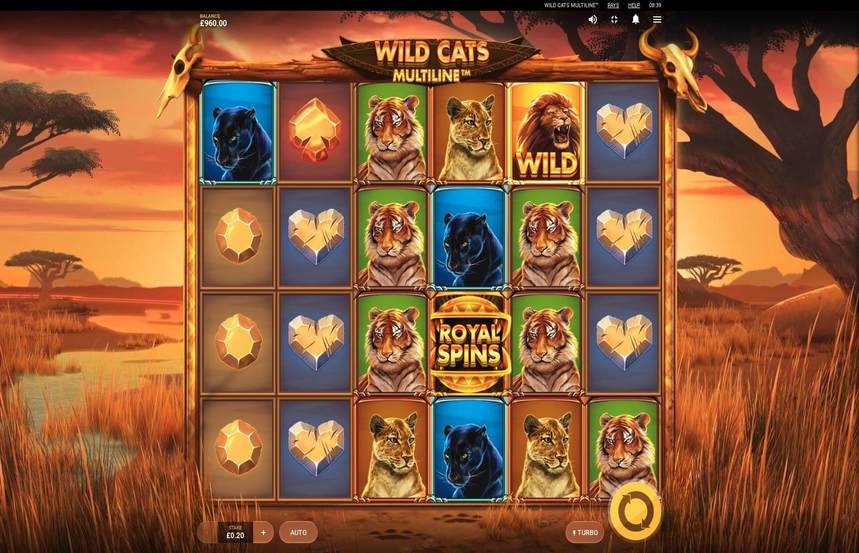 Wild Cats Multiline