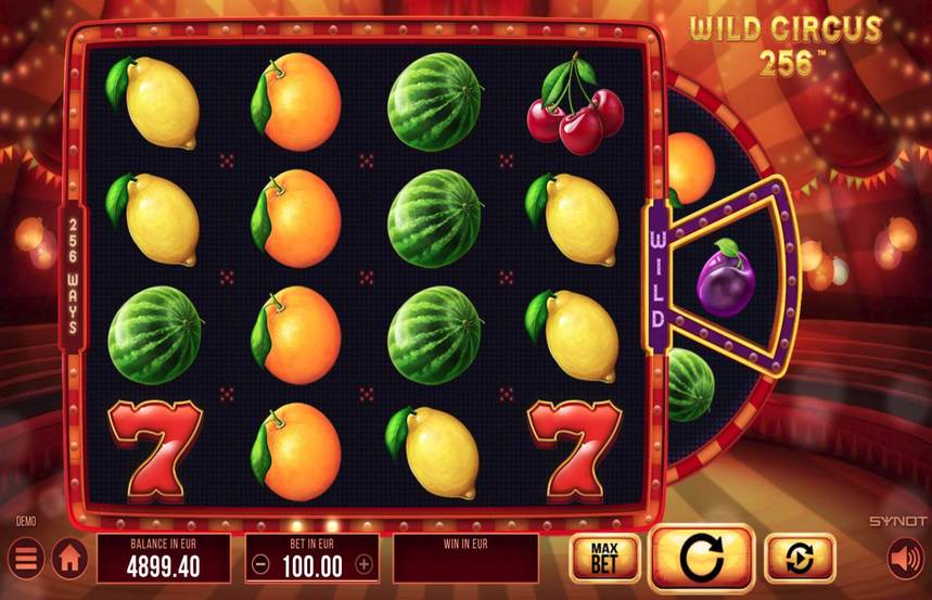 Wild Circus 256