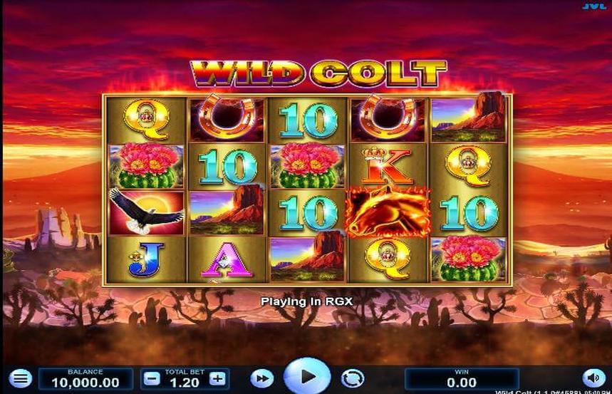Wild Colt