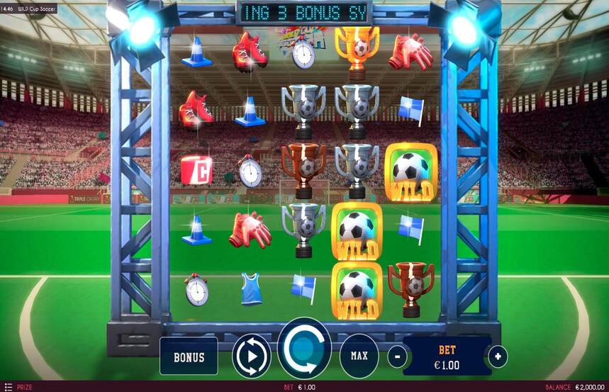 Wild Cup Soccer