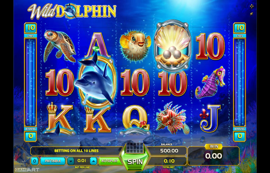 Wild Dolphin
