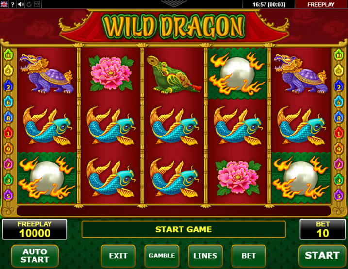 Wild Dragon