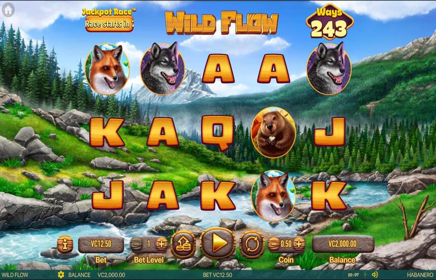 Wild Flow