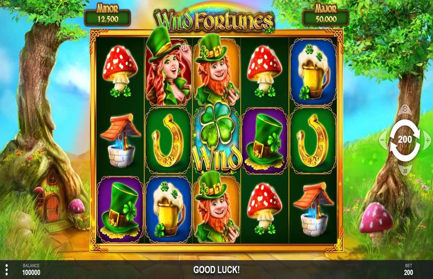 Wild Fortunes