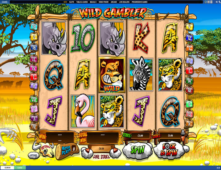Wild Gambler