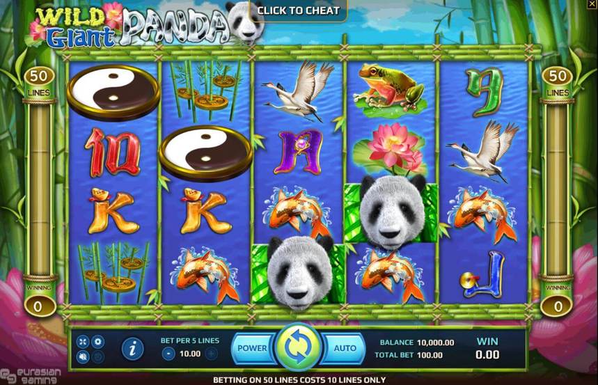 Wild Giant Panda