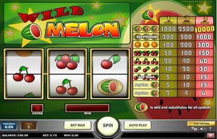 Wild Melon