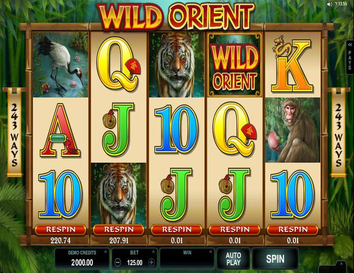Wild Orient