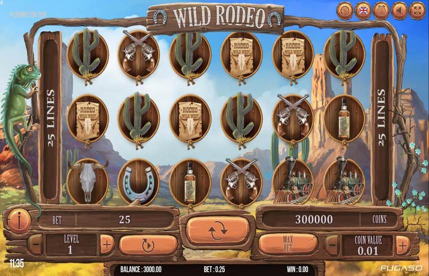 Wild Rodeo