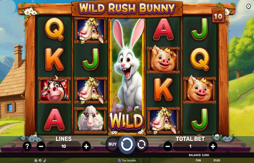 Wild Rush Bunny