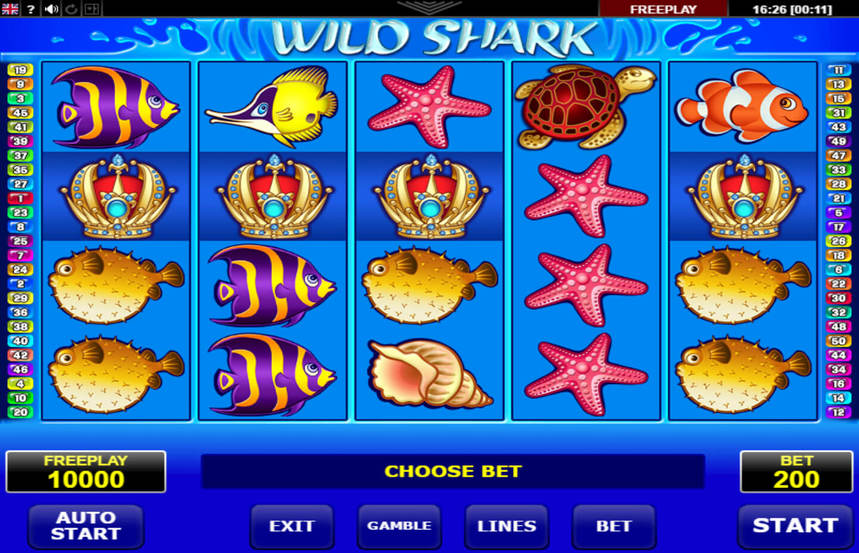 Wild Shark