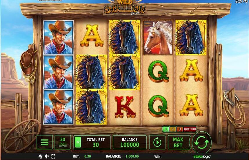 Wild Stallion Quatro