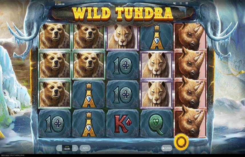 Wild Tundra