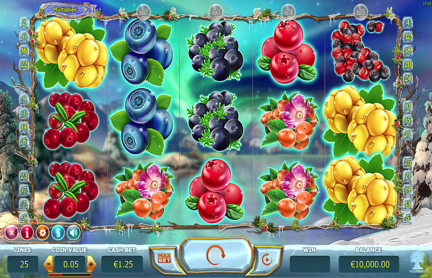 Winterberries